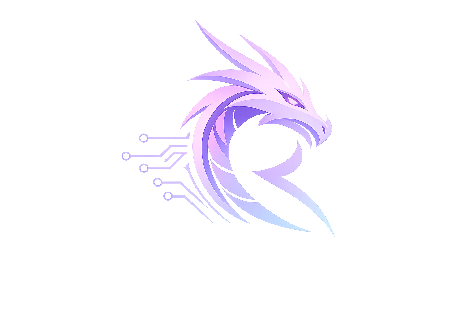 RYUJIN IT
